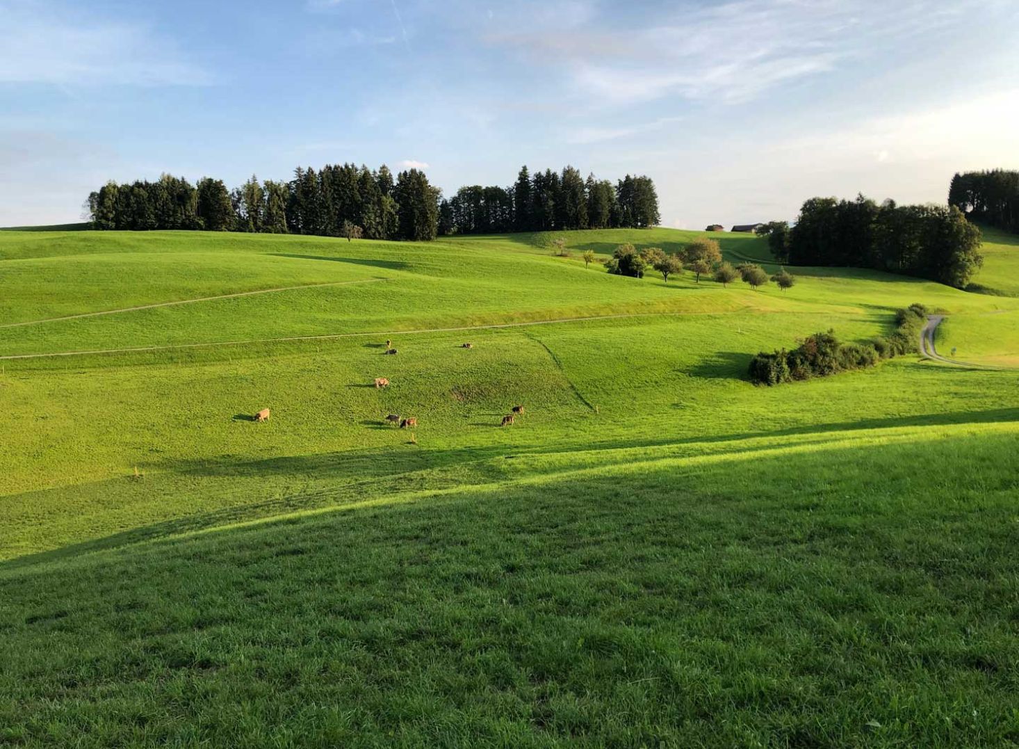 Liebhaberobjekt mit traumhafter Aussicht, 8638 Goldingen